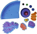 【中古】【未使用・未開封品】Magnetic Animal Cells