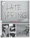 yÁzygpEJizӏt Late Spring (kĔ)[Blu-ray][Import]