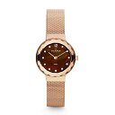 【中古】【未使用・未開封品】スカーゲン(SKAGEN) レディース時計(HERITAGE【456SRR1】アナログ・50g以下)【シャイニーCH/1サイズ】