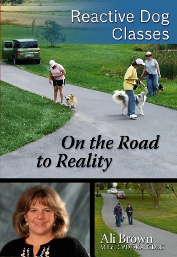 Reactive Dog Classes -- On the Road to Reality