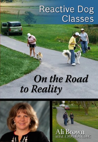 yÁzygpEJizReactive Dog Classes -- On the Road to Reality