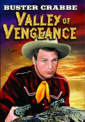 【中古】【未使用・未開封品】Valley of Vengeance [DVD] [Import]