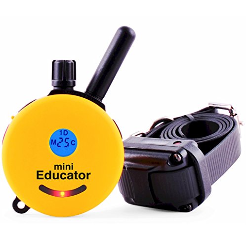 Mini E-Collar 1/2 Mile Remote Dog Trainer保証付