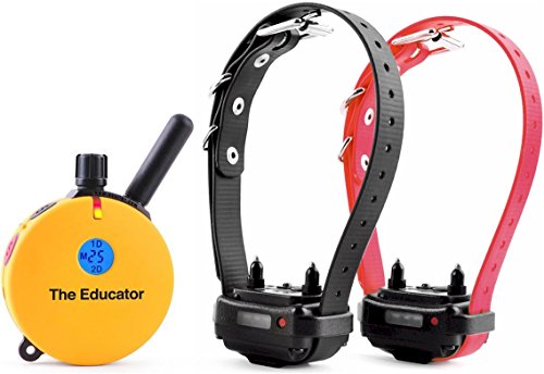š̤ۡѡ̤ʡEducator ET-402 Two Dog 3/4 Mile E-Collar Remote Dog Training Collar With Vibration, Tapping Sensation and Pavlovian Stimulation by Edu