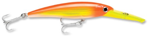【中古】【未使用・未開封品】Rapala X-Rap Magnum 10 Fishing lure, 11cm , Hot Head