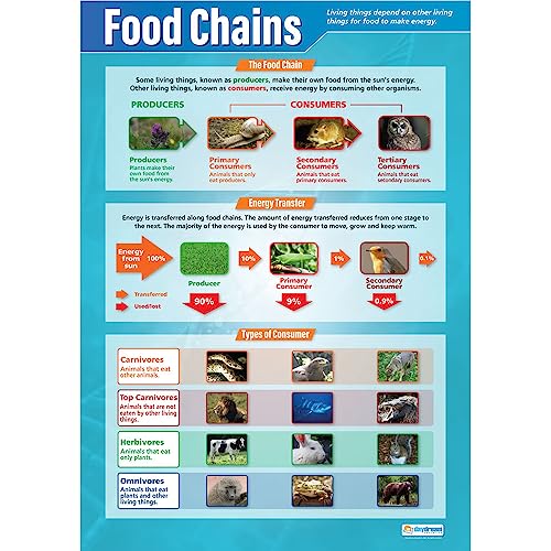 【中古】【未使用・未開封品】Foodチェーン|science教育チャート/ポスターで高光沢用紙 33? x 23.5? Ships 5???10日