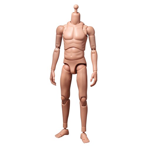 【中古】【未使用・未開封品】ホットトイズ・トゥルータイプ 1/6スケールフィギュア素体 ベーシック/白人男性 (スリム・ボディー版)
