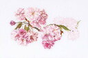 【中古】【未使用・未開封品】テア・グーベルヌール クロス・ステッチキット Prunus 白のアイーダ18カウント 大人向け 512A