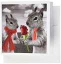 【中古】【未使用・未開封品】Doreen Erhardt愛とロマンス???Squirrel Couple in love withレッドローズブラックandホワイト写真???グリーティングカード Set of 6 Gree