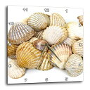 【中古】【未使用・未開封品】3dRose dpp_50550_2 Sea Shells by The Sea Shore-Sumer-Beach Theme-Wall Clock、13x13インチ【メーカー名】【メーカー型番】【ブランド名】3dRose 壁掛け時計, 置き時計・掛け時計, 【30％OFF以上も】家具・インテリア雑貨がお買い得, 【10％OFF以上も】家具・インテリア雑貨がお買い得, ホーム＆キッチン サマーセール インテリア・雑貨がお買い得, 電池利用商品 【商品説明】3dRose dpp_50550_2 Sea Shells by The Sea Shore-Sumer-Beach Theme-Wall Clock、13x13インチ【注意】こちらは輸入品となります。当店では初期不良に限り、商品到着から7日間は返品を 受付けております。こちらは当店海外ショップで一般の方から買取した未使用・未開封品です。買取した為、中古扱いとしております。他モールとの併売品の為、完売の際はご連絡致しますのでご了承ください。ご注文からお届けまで1、ご注文⇒ご注文は24時間受け付けております。2、注文確認⇒ご注文後、当店から注文確認メールを送信します。3、当店海外倉庫から当店日本倉庫を経由しお届けしますので10〜30営業日程度でのお届けとなります。4、入金確認⇒前払い決済をご選択の場合、ご入金確認後、配送手配を致します。5、出荷⇒配送準備が整い次第、出荷致します。配送業者、追跡番号等の詳細をメール送信致します。6、到着⇒出荷後、1〜3日後に商品が到着します。　※離島、北海道、九州、沖縄は遅れる場合がございます。予めご了承下さい。お電話でのお問合せは少人数で運営の為受け付けておりませんので、メールにてお問合せお願い致します。営業時間　月〜金　10:00〜17:00お客様都合によるご注文後のキャンセル・返品はお受けしておりませんのでご了承下さい。