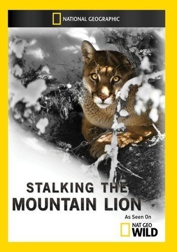【中古】【未使用・未開封品】Stalking the Mountain Lion [DVD] [Import]