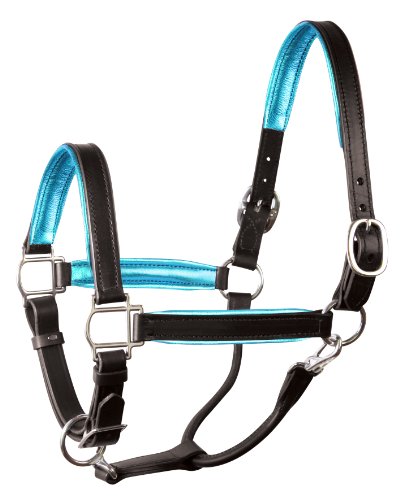 (Horse, Black/Turquoise) - Perri's Leather Metallic Padded Leather Halter