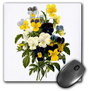 【中古】【未使用・未開封品】3drose Redouteヴィンテージ水彩花柄美しいPansies Viola SP???マウスパッド、8?× 8インチ( MP ...