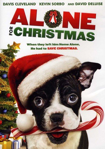 【中古】【未使用・未開封品】Alone for Christmas [DVD] [Import]