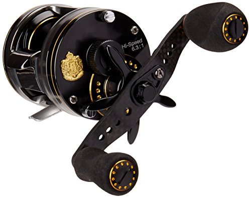 ぱ*ゃ様 アブガルシア モラム SX160IC 楽天市場】アブガルシア モラムの通販