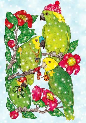 【中古】【未使用・未開封品】Parrotクリスマスカード: 10?Holiday Cards withレッド封筒???Adorable 。