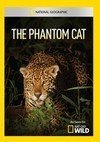 【中古】【未使用・未開封品】Phantom Cat [DVD] [Import]