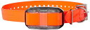 【中古】【未使用・未開封品】Dogtra Edge Additional Receiver Orange Strap by Dogtra