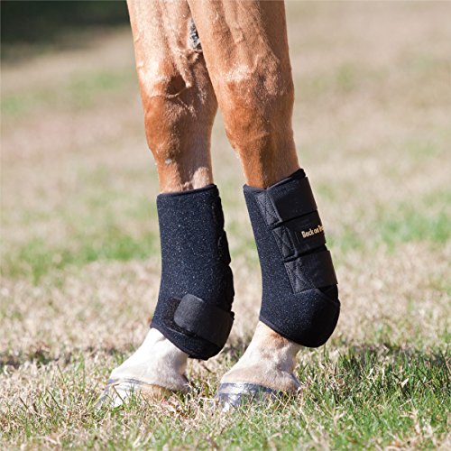 【中古】【未使用・未開封品】Back on Track Therapeutic Horse Exercise Boots for Front Legs, Black, Large by Back on Track