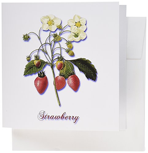 【中古】【未使用・未開封品】BLN花と果物ピエールジョゼフ・ルドゥーテ???Strawberry Blossoms and ri..