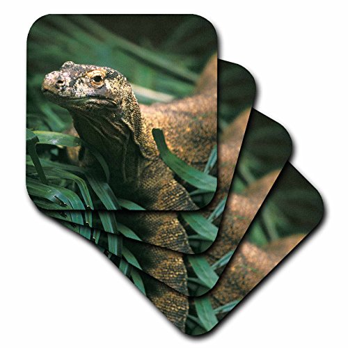 【中古】【未使用・未開封品】(set-of-4-Ceramic) - 3dRose cst_73146_3 Oceania, Indonesia, Komodo Dragon 'Lizard'-AS11 MWE0235-Michele Westmorland-Ceramic Tile Coaste