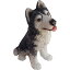 š̤ۡѡ̤ʡ(Small Size, Siberian Husky - Sitting) - Sandicast Sculpture, Small, Sitting Siberian Husky