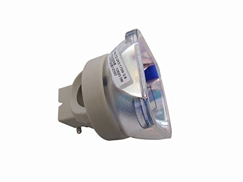 【中古】【未使用・未開封品】DLP交換用プロジェクター裸電球フィットPROJECTIONDESIGN evo22?SX + evo22sx + 【中古】【未使用・未開封品】DLP交換用プロジェクター裸電球フィットPROJECTIONDESIGN evo22?SX + evo22sx +