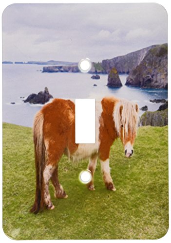 【中古】【未使用・未開封品】3drose LSP 188900?_ 1?Shetland Pony on pasture near高Cliffs、スコットランドシェトランド諸島、。???Single切り替えスイッチ