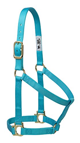 【中古】【未使用・未開封品】(Average Horse, Turquoise) - Weaver Leather 35-7404-TU Basic Non-Adjustable Halte…