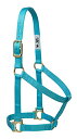 yÁzygpEJiz(Average Horse, Turquoise) - Weaver Leather 35-7404-TU Basic Non-Adjustable Halter, 2.5cm Small Horse, Turquoise