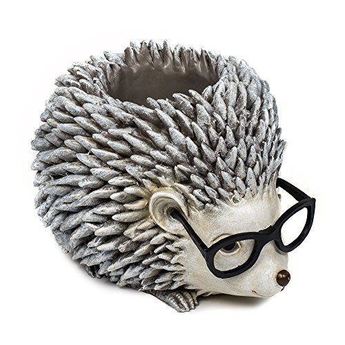 【中古】【未使用 未開封品】Roman Woodland Critters with Eye Glasses Novelty Planters (ハリネズミ)