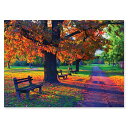 【中古】【未使用・未開封品】Melissa & Doug 1,500-piece Walk In The Parkジグソーパズル(33?x 24インチ)