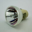 【中古】【未使用・未開封品】CTLAMP 5J.J7L05.001 P-VIP 240 0.8 E20.9n オリジナル OEM 裸ランプ/電球 BenQ W1080ST 3D DLP フルHD ホームシアタープロジェクターに対応