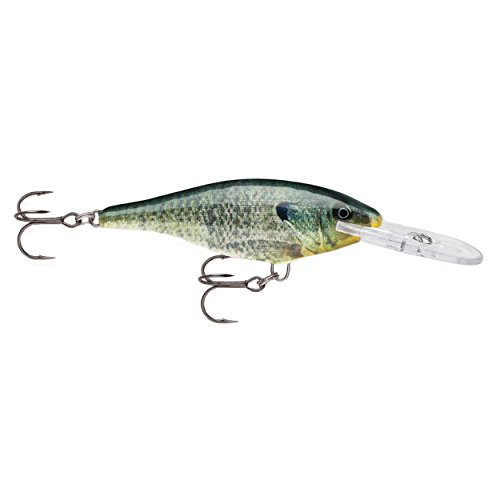 š̤ۡѡ̤ʡRapala åɥå 07 Live Bluegill 륢 ޥ 󥵥 (SR07BGL)
