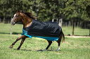 yÁzygpEJizHorseware Mio Medium Turnout Blanket 81 AASA42-KCTK-81