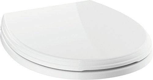 【中古】【未使用・未開封品】Delta Faucet 800901-WH Wycliffe Round Front Standard Close Toilet Seat, White by DELTA FAUCET