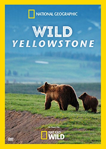 【中古】【未使用・未開封品】Wild Yellowstone [DVD] [Import]