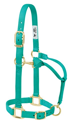 (Weanling, Emerald Green) - Weaver Leather Adjustable Horse Halter