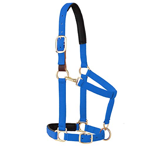 【中古】【未使用・未開封品】Weaver Leather Padded Breakaway Adjustable Chin & Throat Snap Halter, 2.5cm Average Horse or Yearling Draught