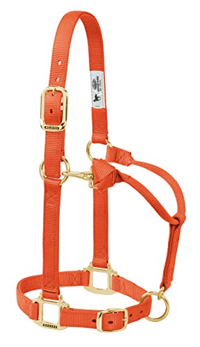 【中古】【未使用・未開封品】(2.5cm Small Horse, Orange) - Weaver Leather Adjustable Horse Halter