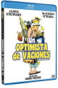 【中古】【未使用・未開封品】Mr. Hobbs macht Ferien (Mr. Hobbs Takes A Vacation, Spanien Import, siehe Details f?r Sprachen)