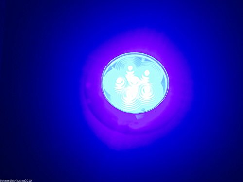 yÁzygpEJizPactrade Marine RV Boat Trailer 6 LED Blue Ceiling Courtesy Light S S Rim Flush/Surface