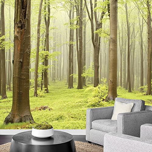 wall26 粘着式壁紙 大型の壁 壁画シリーズ 66"x96" WMR-WP-RF-FOREST-02042016-001-66x24x4
