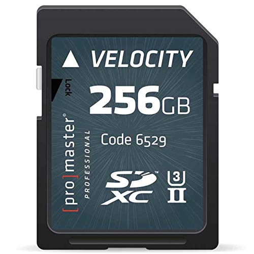 yÁzygpEJizPromaster SDXC 256GB Velocity U3 [J[h