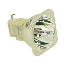 【中古】【未使用・未開封品】交換用for Sanyo pdg-dsu20?N裸ランプのみ交換用電球