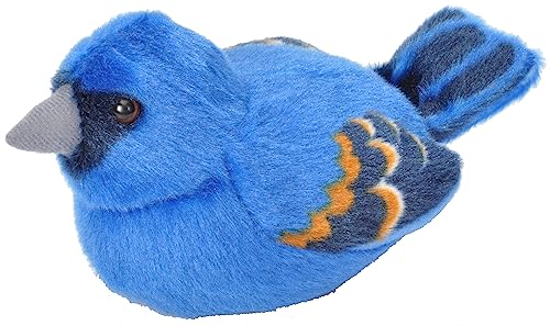 š̤ۡѡ̤ʡWild Republic Blue Grosbeak Plush Toy