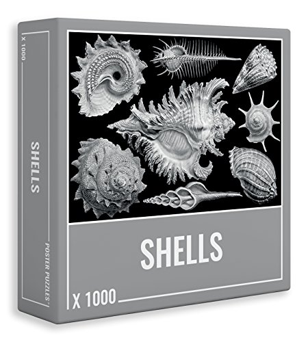 樂天商城 - 【中古】【未使用・未開封品】Jigsaw Puzzle 1000 Pieces: Cool Shells Jigsaw Puzzle for Adults