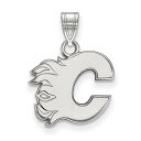 【中古】【未使用・未開封品】Calgary Flames Small (1?/ 2インチ)ペンダント(10?Kホワイトゴールド)(4)