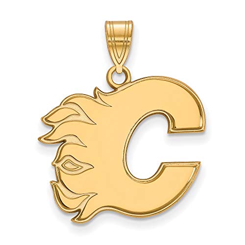 š̤ۡѡ̤ʡ10?ky Calgary Flames Largeڥ