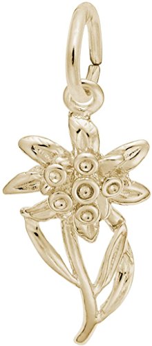 【中古】【未使用・未開封品】レンブラント エーデルワイス チャーム【メーカー名】【メーカー型番】【ブランド名】Rembrandt Charms チャーム 【商品説明】レンブラント エーデルワイス チャーム【注意】こちらは輸入品となります。当...